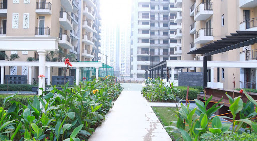 3 bhk + Servant Apartment Available for sale in Royal Court